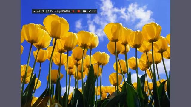Windows XP Fast Shutdown! смотреть онлайн
