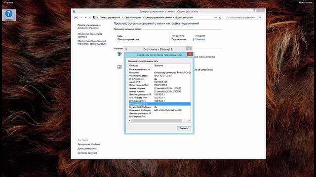 Проверка связи с сервером Винс смотреть онлайн