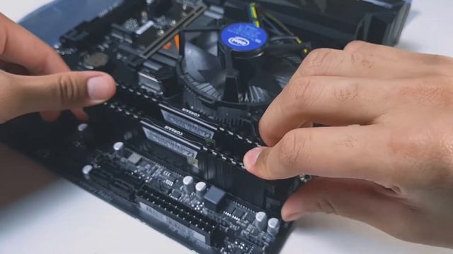 Tutorial Merakit PC | Bisa buat GAMING, EDITING dan DESIGN - Rakit PC Pemula (Part 2) смотреть онлайн