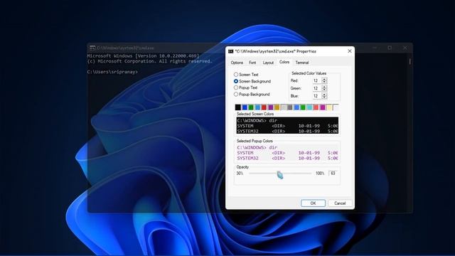 Make CMD Transparent | Windows 11 | PranayTech | 18 | смотреть онлайн