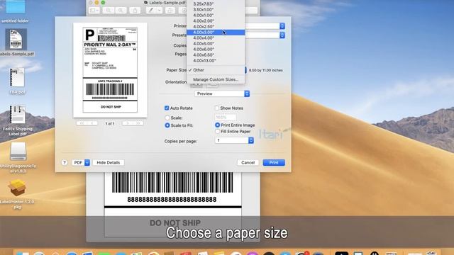 Installing Zebra EPL2 Driver with Itari I04 on MAC смотреть онлайн