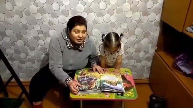 Проект Почитай ка Русская народная сказка Теремок смотреть онлайн