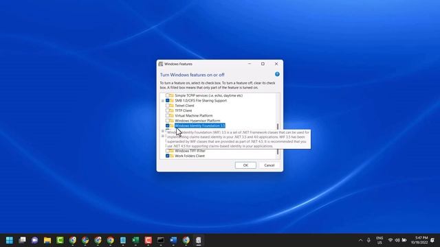 How to Enable Windows Identity Foundation 3.5 on Windows 11 Tutorial смотреть онлайн