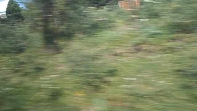 DSCN6960ДОЛИНА НАРЗАНОВ 2023