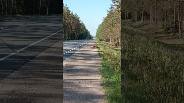 Кому-то повезло, а кому-то нет! #дтп #carcrash #crash #automobile смотреть онлайн