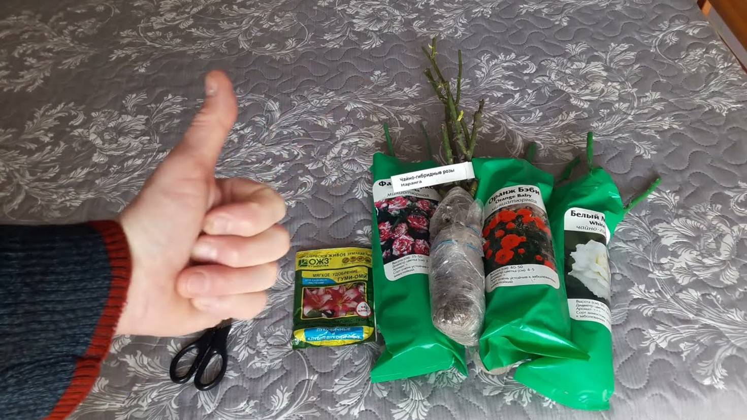 Посылка почтой саженцы роз #potemkin3 Палкино