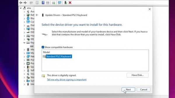 How to Reinstall Keyboard Driver in Windows 11 PC or Laptop