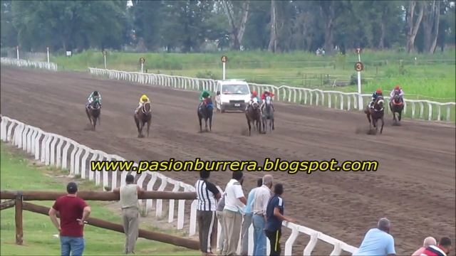 GRAN AVEIRO, Hipódromo San Francisco (23-02-2021) смотреть онлайн