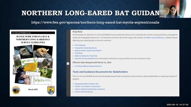 Listed Bat Ecology, Endangered Species Act Compliance, & Conservation Recommendations смотреть онлайн