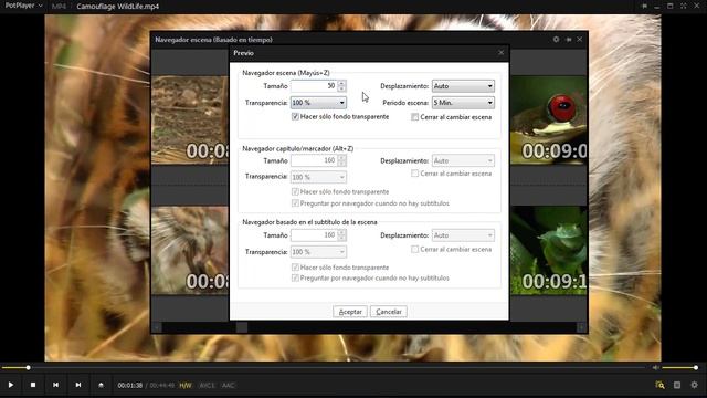 Tutorial PotPlayer en español - 6-Menú reproducir, funciones disponibles смотреть онлайн