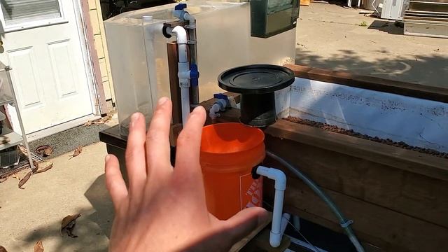 Simple and small aquaponic system design example and set up run-through смотреть онлайн
