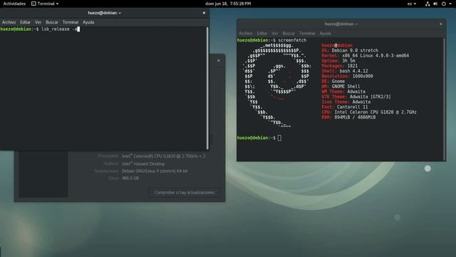 Debian GNU/Linux 9.0 (stretch) смотреть онлайн