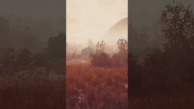 Просто по красоте! смотреть онлайн