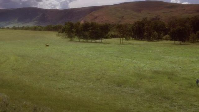 The Horse Whisperer - leave the phone смотреть онлайн