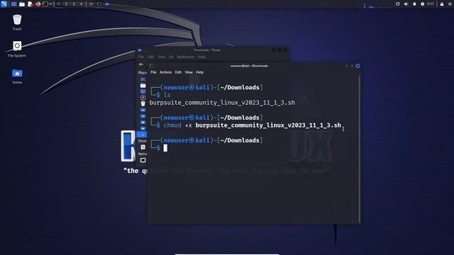 How to Download and Install Burp Suite in Kali Linux 2024 Tutorial смотреть онлайн