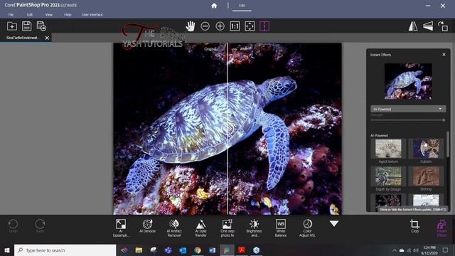 Webinar: Bring your photography to life with PaintShop Pro 2021 смотреть онлайн