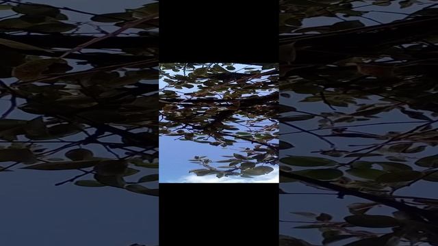 20241009_110723.mp4 смотреть онлайн