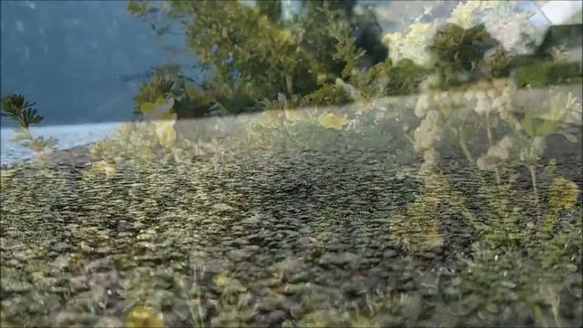 En sommardag med kaninerna смотреть онлайн