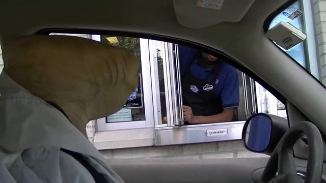 STONE COLD E.T. - Hilarious drive thru WWE смотреть онлайн