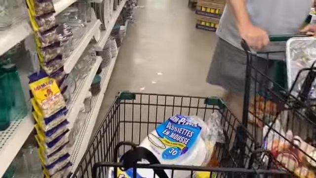 Dollar TREE 8/11/19 | Couponing & Checking New Items смотреть онлайн