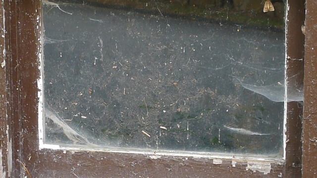 spider web factory window display смотреть онлайн