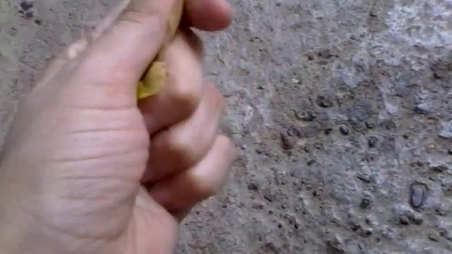 Фокус с листом смотреть онлайн