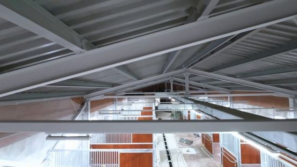 Конный клуб ALPHA CENTAURI, октябрь, 2024 год