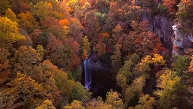 Relaxing Music #for car #hotel #cafe #spa #love смотреть онлайн