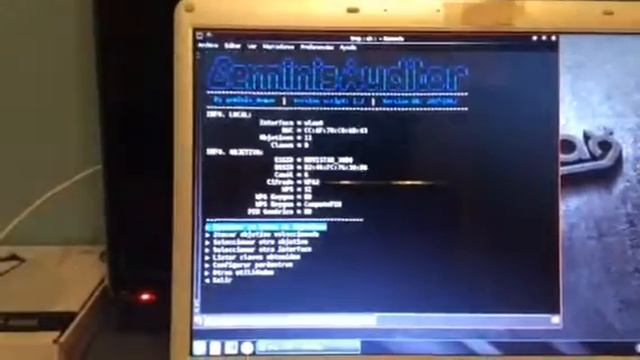 Geminis Auditor (wifislax)