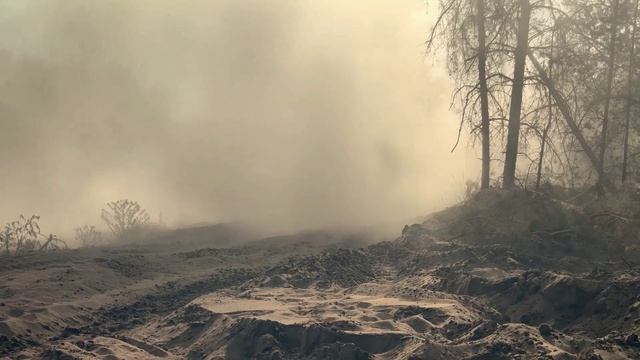 Траление маршрутов колесной и гусеничной техники на освобожденных территориях в зоне СВО смотреть онлайн