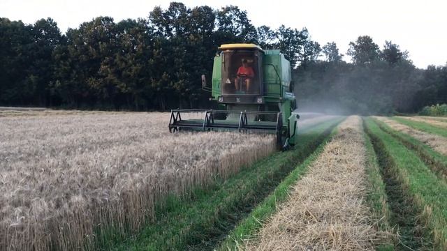 Žetva 2019 - John Deere 1065, radni zahvat 3.60 m смотреть онлайн