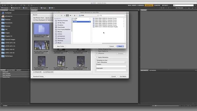 Lecture 25: Adobe Bridge : Importing Images with MetaData templates смотреть онлайн