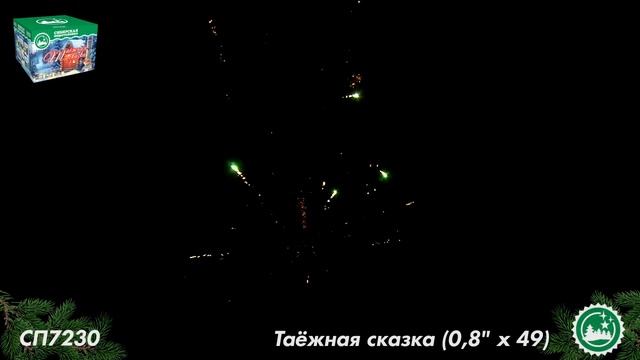 СП7230 смотреть онлайн