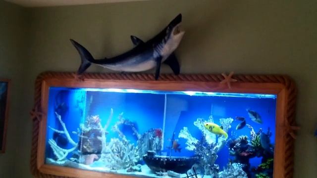 MARINE AQUARIUM 3 смотреть онлайн
