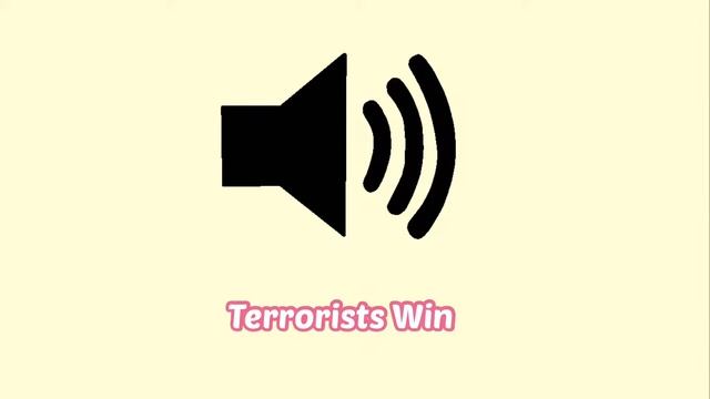 “Terrorists Win” (CS GO) Sound Effect смотреть онлайн
