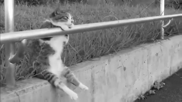 Lana Del Rey - Summertime Sadness (Deep House Remix) [DEEP HOUSE MUSIC VIDEO] смотреть онлайн