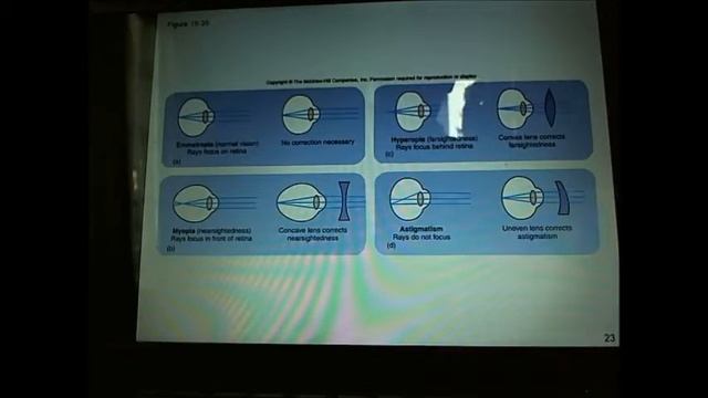Bio 9 Lab Chapter 11 p1.wmv смотреть онлайн