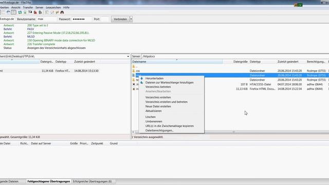 Anleitung: FTP Programm FileZilla benutzen смотреть онлайн