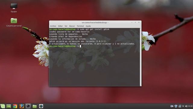 Como saber si el disco duro que tengo utiliza mbr o gpt desde linux смотреть онлайн