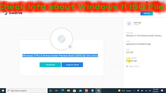 Microsoft Windows 11 Latest ISO File Free Download | How to Download Windows 11 Free смотреть онлайн