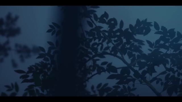 ZOLA JESUS "SEA TALK" MUSIC VIDEO смотреть онлайн