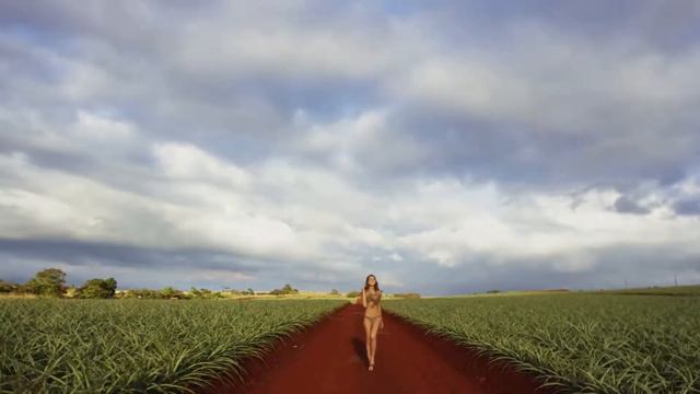 Desireless - Voyage voyage (Dmitry Glushkov dub mix) 2К19 ★VDJ Puzzle★ смотреть онлайн