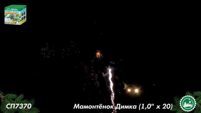 СП 7370 смотреть онлайн