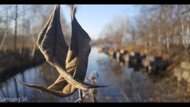 iPhone 6s vs Lumia 930 vs Galaxy S6 Camera Comparison/Сравнение камер смотреть онлайн
