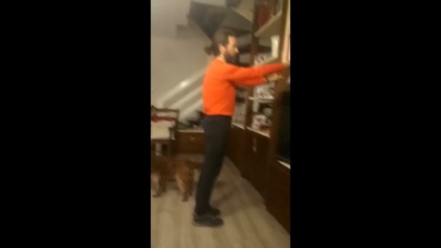 ASD KALOS LECCE ESERCIZI ANTICORONAVIRUS смотреть онлайн