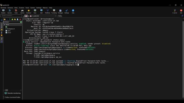 Demo of PasswordSafe's (PWS) Password Cache with secure local access of break glass credentials смотреть онлайн