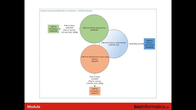 Translating Research Workflows into Clinical Tests смотреть онлайн