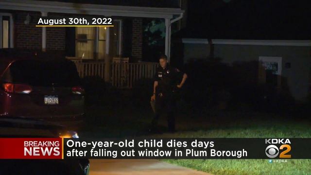 Boy dies after falling out of window in Plum смотреть онлайн