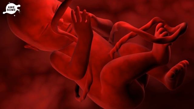 An Exhausted Mom Was Baffled When She Saw Her Baby – Then Doctors Revealed Her Newborn Was Special смотреть онлайн