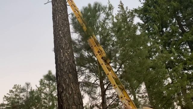 Repairing Windows With Broken Seal | Drilling Through A Window | Hanging TV Antenna смотреть онлайн